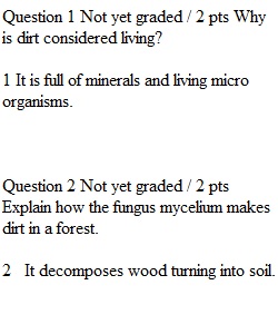 Quiz 1